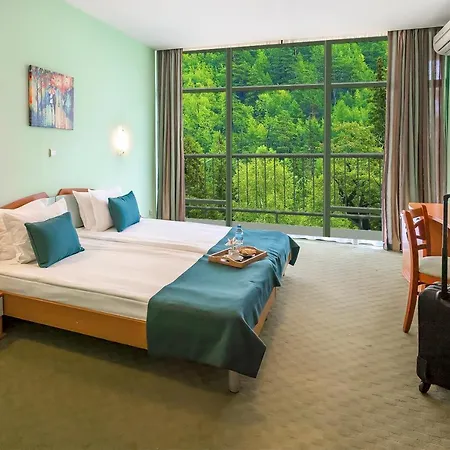 Palm 4* Złote Piaski