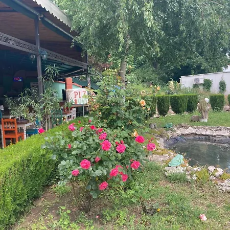 Hotel Palm Złote Piaski