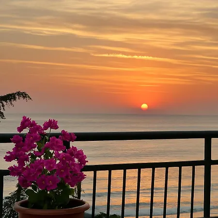 Palm Hotel Sables d'or
