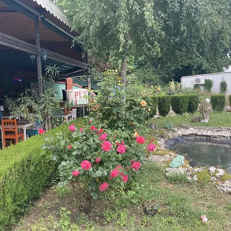 Palm 4* Golden Sands